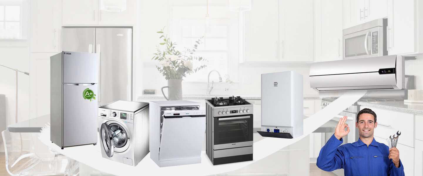 Üçkuyular Warmhaus Servisi